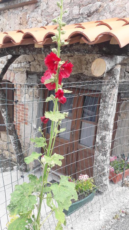 Bed and Breakfast Les Tremieres Saint-Paul-des-Fonts Esterno foto
